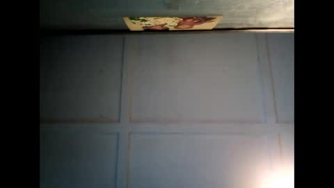 Warwick online show from March 3, 6:45 am