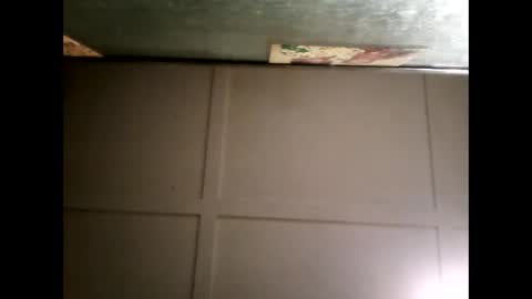 Warwick online show from March 12, 11:20 am