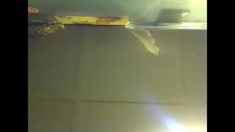 Warwick online show from October 25, 10:06 am