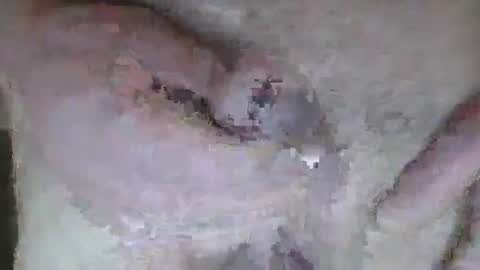 gernelecker online show from December 17, 6:58 pm