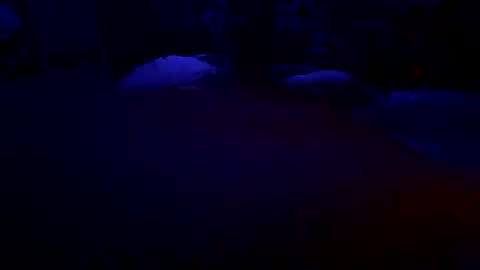 getithititnsplit online show from March 7, 10:56 am