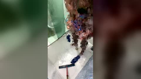 gifted online show from April 20, 7:00 am