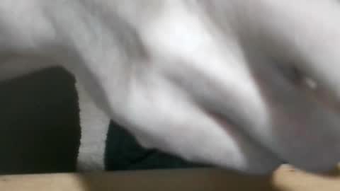 Snapshot of glyder1961 chatting on January 23, 3:22 pm Glyder online show from January 23, 3:22 pm