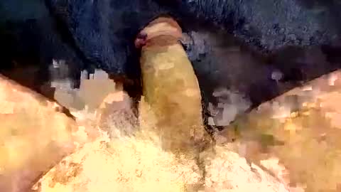 Gman online show from December 30, 3:25 am