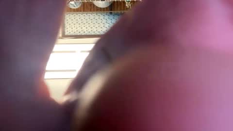 gngnxxx online show from April 16, 4:01 am