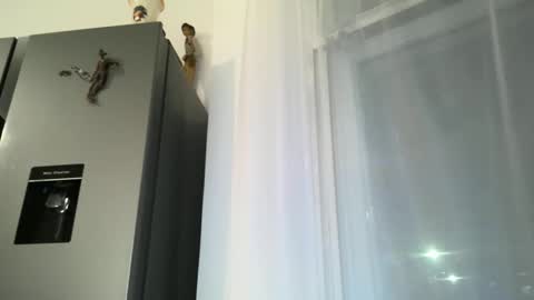 gomezgonz5 online show from October 16, 7:22 pm