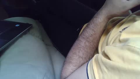 Grey Stud online show from February 25, 9:20 am