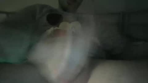 greysnovio online show from December 27, 5:37 pm