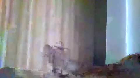 grupalenfection online show from February 7, 1:53 pm