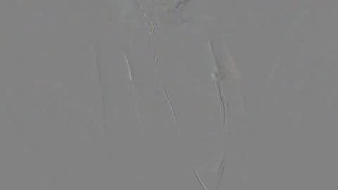 Anything you want. online show from November 26, 5:05 pm