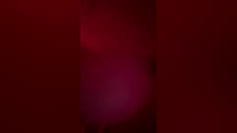 gypsynova777 online show from April 15, 11:10 am