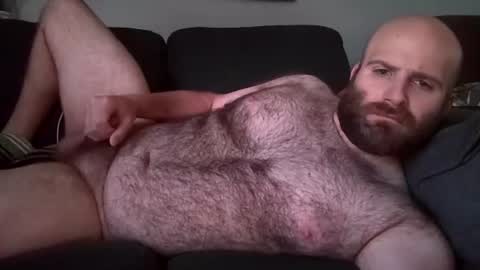Hairiest Bear online show from June 19, 3:17 pm