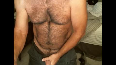 Hairy pecs online show from October 28, 1:52 am