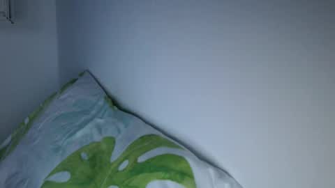 Snapshot of haled_77 chatting on November 1, 1:20 am haled_77 online show from November 1, 1:20 am