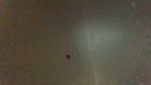 For You online show from February 13, 11:06 am