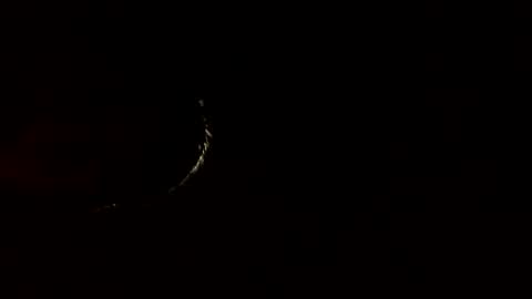 Snapshot of harun12366 chatting on October 28, 2:58 am harun12366 online show from October 28, 2:58 am