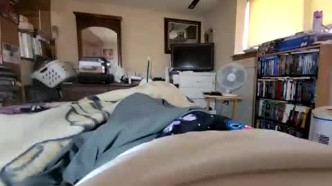 hawkfan1888 online show from January 26, 5:02 pm