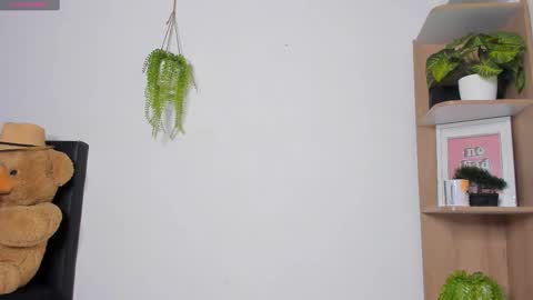 alan y zack online show from November 24, 12:28 pm