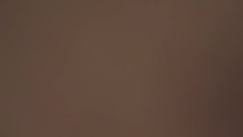 hellohowareyou66 online show from April 9, 6:19 am