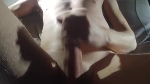 Snapshot of hills87 chatting on December 6, 9:13 pm hills87 online show from December 6, 9:13 pm