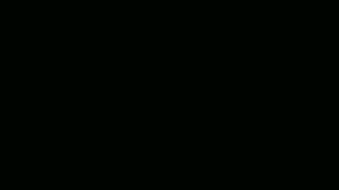 hofnung online show from February 22, 10:38 am