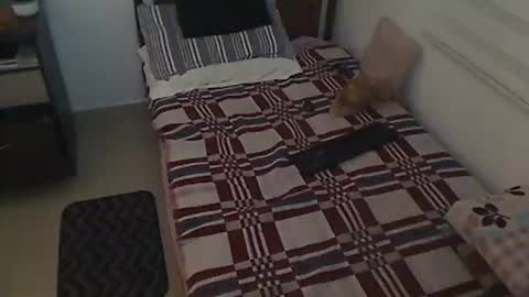 Holofernes45gil online show from March 28, 7:30 am