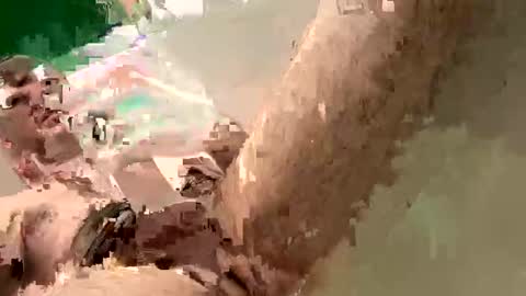 its a new adalaw666 paige online show from January 9, 5:00 pm