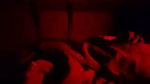 hongdong online show from February 2, 8:24 am