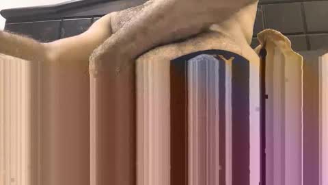 hornyboy_01z online show from September 11, 7:02 pm