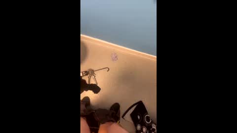 hornycokehead29 online show from March 11, 7:21 pm