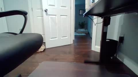 hotdog1124 online show from November 25, 1:02 pm