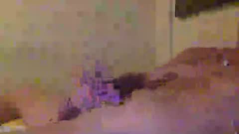 hotjox online show from June 23, 7:13 am
