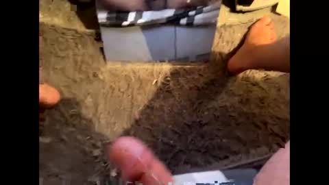 Looking for dom online show from January 19, 12:57 am