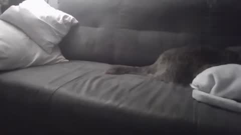 huguit026 online show from February 4, 11:27 pm