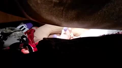 hungbig871224 online show from April 19, 7:08 am