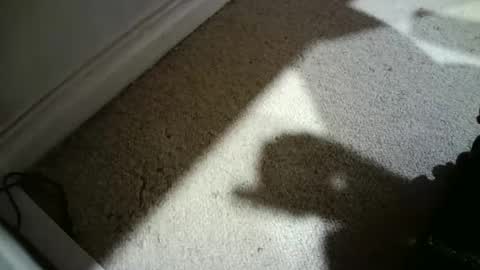 Hypeman online show from February 26, 6:26 am