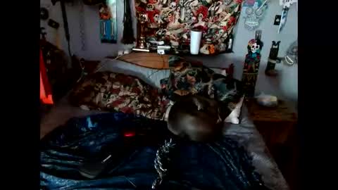 Naomi online show from April 21, 11:27 am