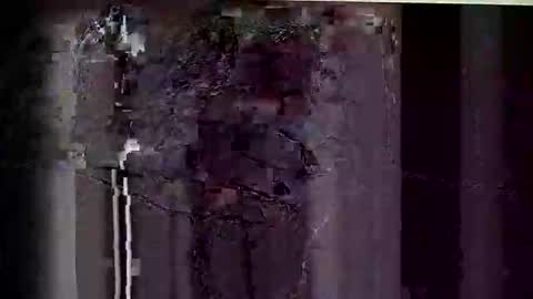 Pat online show from April 23, 8:08 am