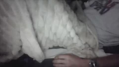 iloveitall86 online show from February 2, 2:03 pm