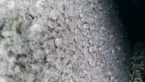 IMI4U2C online show from October 9, 8:41 am