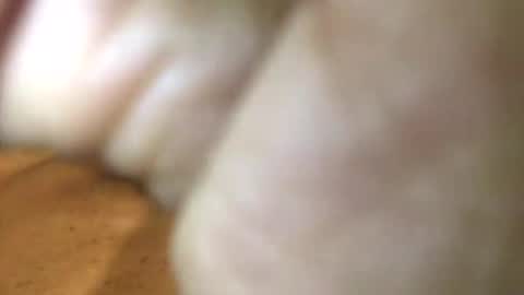 InternationalGodFather online show from January 27, 3:18 pm