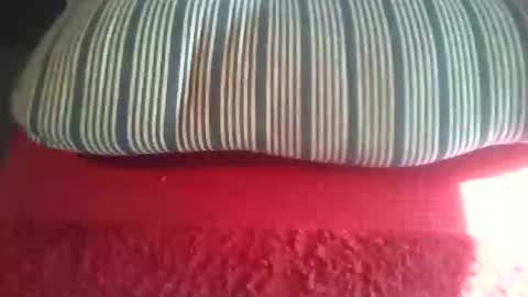 ipuck55 online show from April 28, 10:47 pm