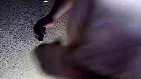 McDick online show from March 30, 5:41 am