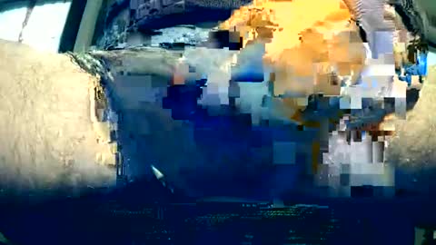 biondo italian online show from January 25, 12:16 pm