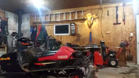 Dess online show from January 11, 11:52 pm