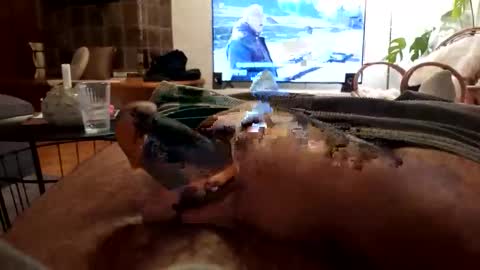 jackomo69 online show from November 7, 9:40 pm