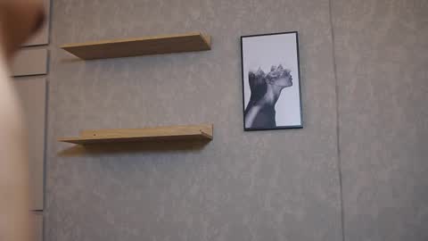 Jackson Bell online show from November 25, 11:56 am