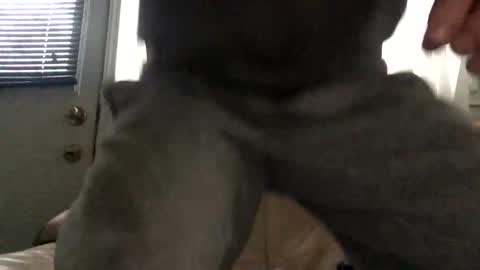 Jacob online show from April 16, 10:01 pm