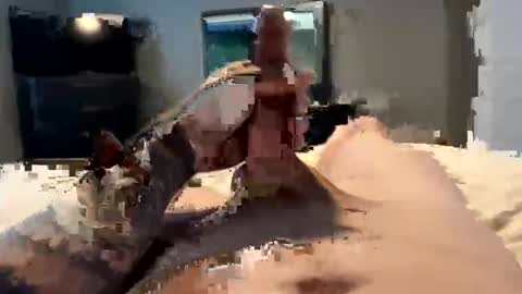 jay3466357 online show from October 30, 11:50 pm