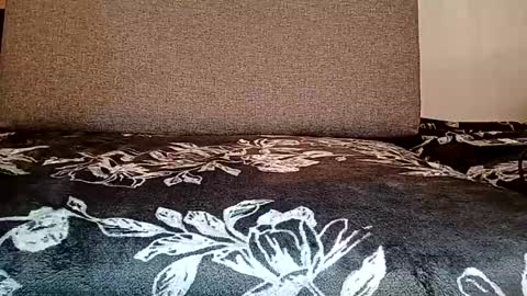 Jay bigcock online show from December 8, 3:35 pm